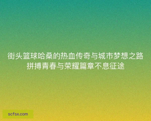 街头篮球哈桑的热血传奇与城市梦想之路拼搏青春与荣耀篇章不息征途