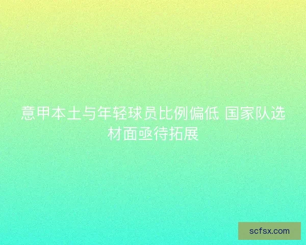 意甲本土与年轻球员比例偏低 国家队选材面亟待拓展
