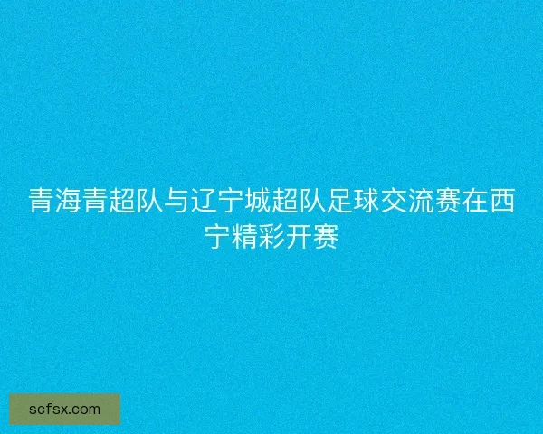 青海青超队与辽宁城超队足球交流赛在西宁精彩开赛 青海青超队与辽宁城超队足球交流赛在西宁精彩开赛