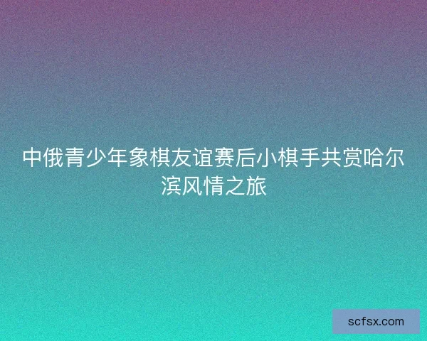 中俄青少年象棋友谊赛后小棋手共赏哈尔滨风情之旅 中俄青少年象棋友谊赛后小棋手共赏哈尔滨风情之旅
