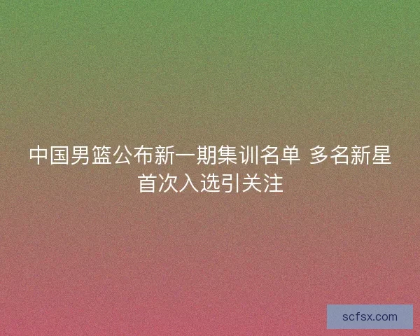 中国男篮公布新一期集训名单 多名新星首次入选引关注